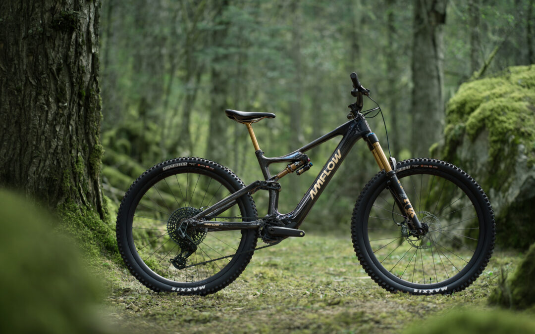 State of the art E-Mountainbike zum Spezialpreis